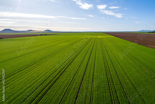 Liverpool Plains farmland