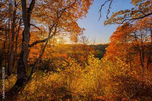 Golden color autumn landscape with sunset  Duksta park