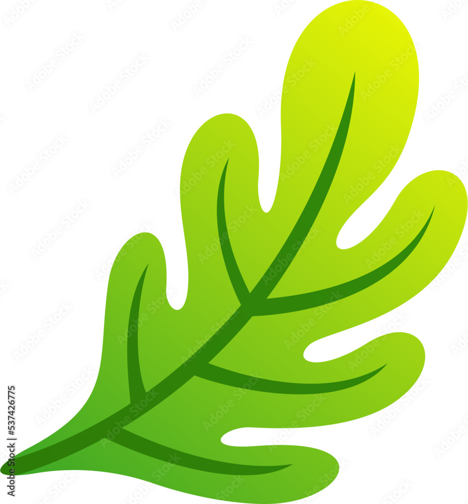 Fototapeta premium Leaf