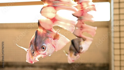 raw fishes being air dried on a balcony horizontal compositon photo