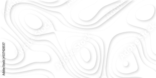 3d white papercut background. Topographic dynamic backdrop illustration. White waves decorative papercut design.