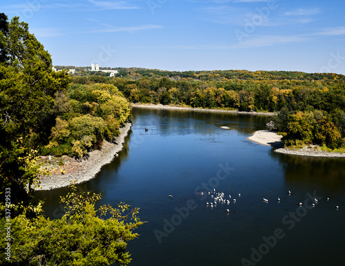 View of the river in the forest in Starved Rock State Park, Illinois with white birds 