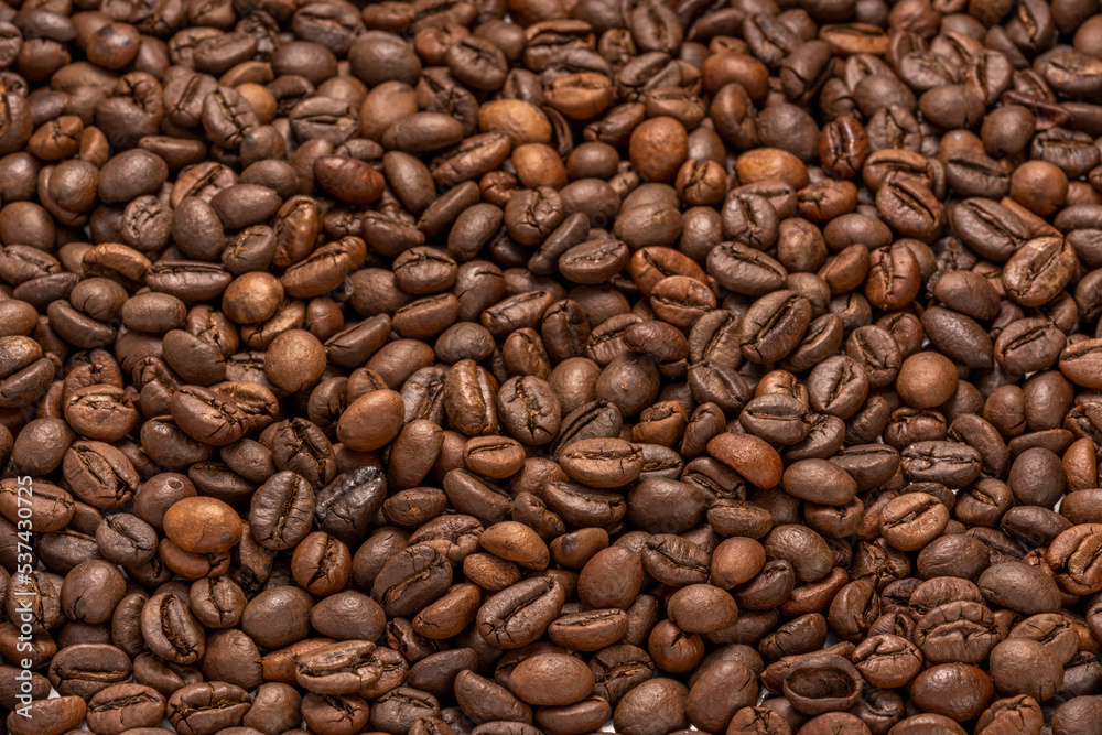 Close up,Roasted Cocoa beans or Aromatic Cocoa beans for coffee drink. Close up,Roasted Cocoa beans or Aromatic Cocoa beans for coffee drink.