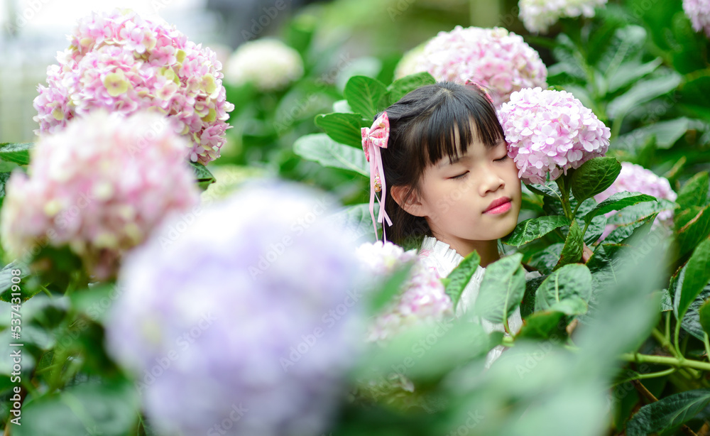 Happy Asian Girl enjoy Hydrangea Bushes in Garden Happy Asian Girl enjoy Hydrangea Bushes in Garden