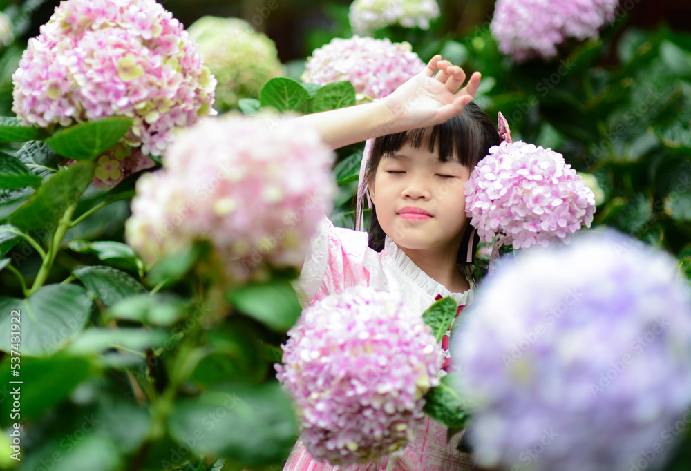 Happy Asian Girl enjoy Hydrangea Bushes in Garden Happy Asian Girl enjoy Hydrangea Bushes in Garden