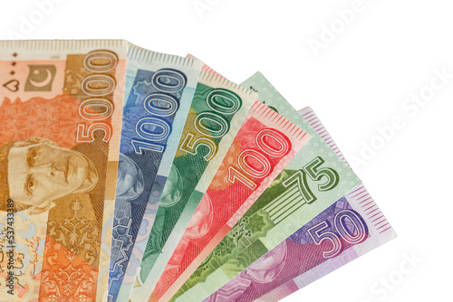 Принти на полотні Pakistan 5000, 1000, 500, 100, 75 and 50 rupees banknotes