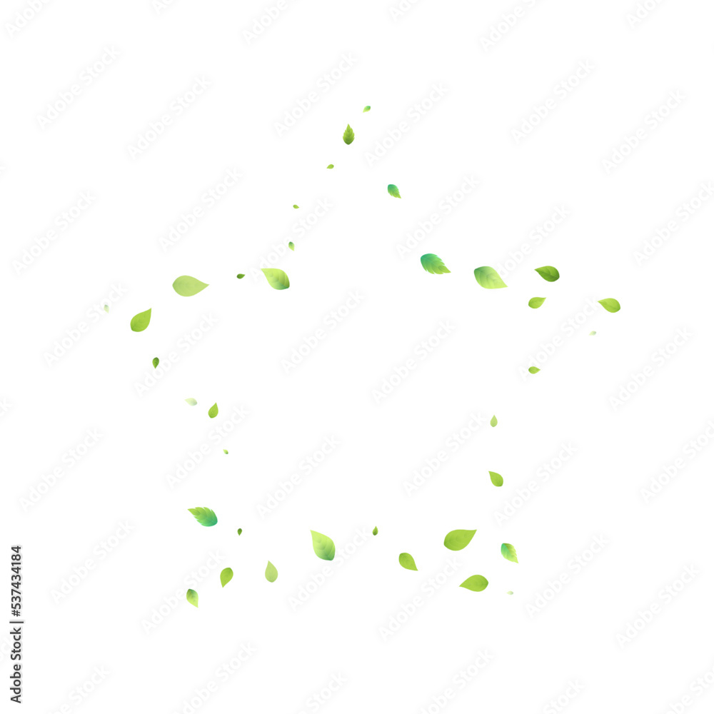 Leaves Green Falling Flying Foliage Leaf Tea Mint Leaves Green Falling Flying Foliage Leaf Tea Mint
