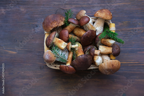 Different fresh wild mushrooms in wicker bowl on wooden background. Autumn Cep Mushrooms. Concept organic food mushroom. Close-up