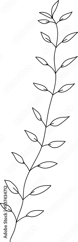 Hand drawn leaf branch