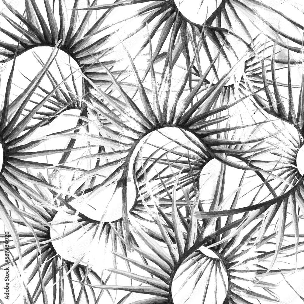 Fototapeta premium Tropical Leaf. Black White Modern Motif.