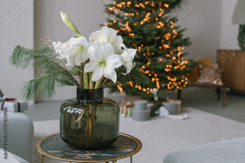 White amaryllis and fir branches in vase on table in stylish modern home interior. Event celebration. Festive holiday decorations. Copy space. Beautiful Christmas tree on background. photo