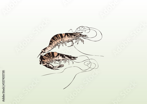 車海老,海老,エビ,えび,刺身,食材,食べ物,シーフード,居酒屋,飲食,飲食店,寿司,鮮魚,鮮魚店,浮世絵,錦絵,日本画,Prawn, horse mackerel, horse mackerel, horse mackerel, sashimi, ingredients, food, seafood, izakaya, restaurant, restaurant, sushi, Shrimp