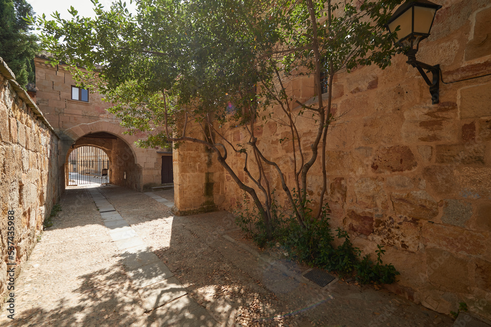 Obraz premium Patio de las Escuelas Menores (Monior Schools), University of Salamanca, Salamanca City, Spain, Europe.