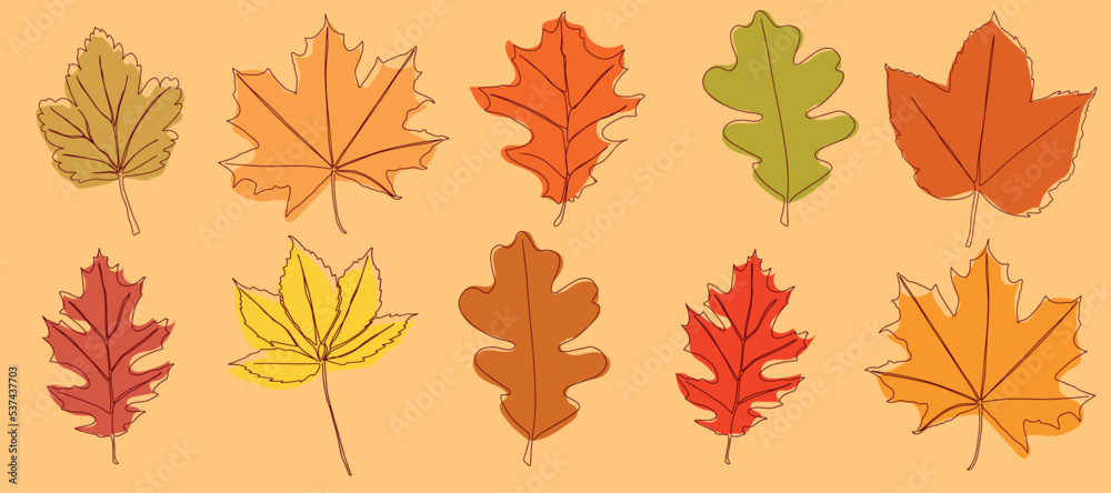 A set of autumn leaves drawn in a continuous line. Autumn leaf in one line. Vector illustration.