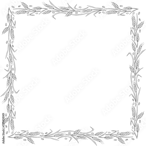 Square frame made of contour wheat or rye ears. Vector autumn border, backdrop hand drawn in Doodle style, black outline isolated on white background