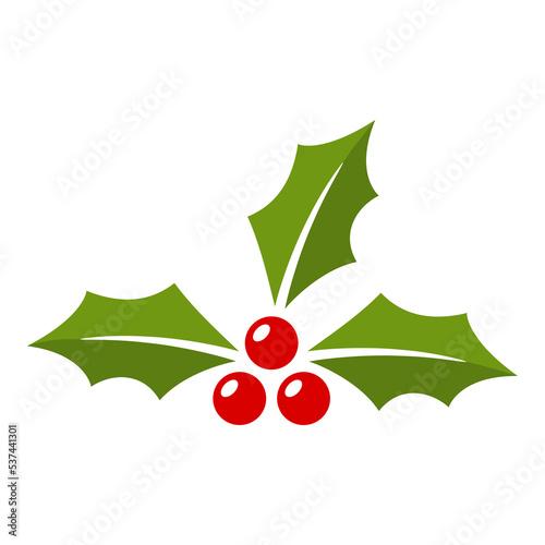 Holly Berry isolated on white background