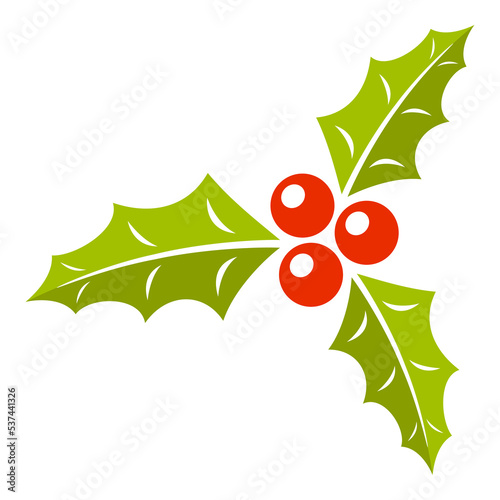 Holly Berry isolated on white background