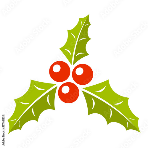 Holly Berry isolated on white background