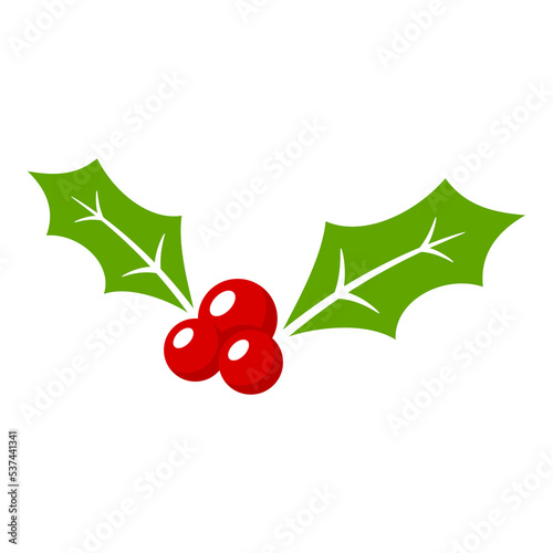 Holly Berry isolated on white background