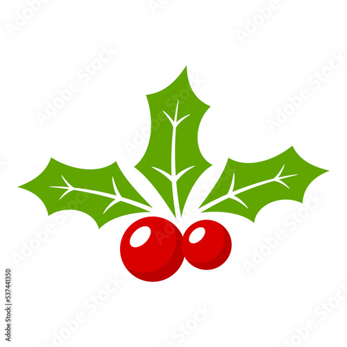 Holly Berry isolated on white background