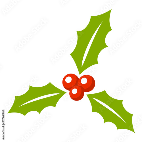 Holly Berry isolated on white background