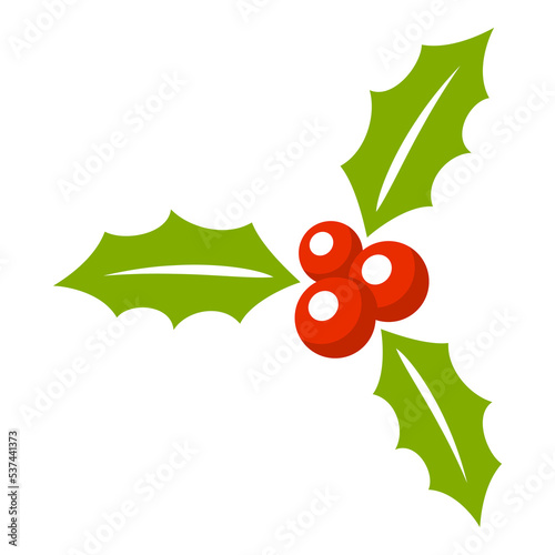 Holly Berry isolated on white background