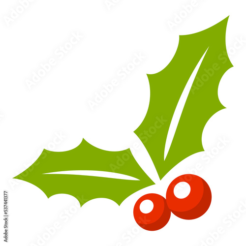 Holly Berry isolated on white background