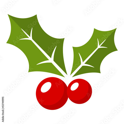 Holly Berry isolated on white background