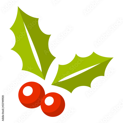 Holly Berry isolated on white background