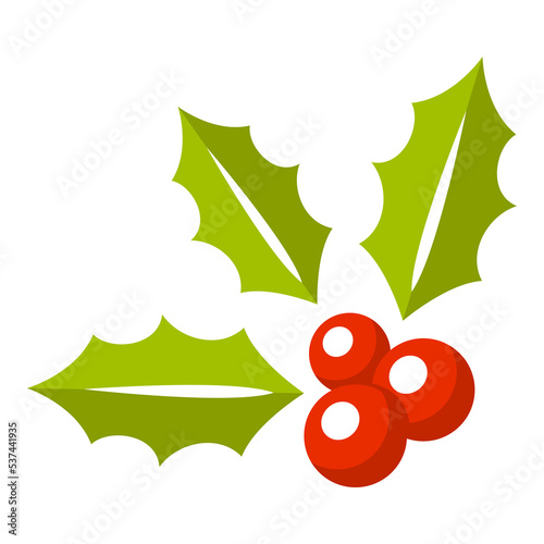 Holly Berry isolated on white background