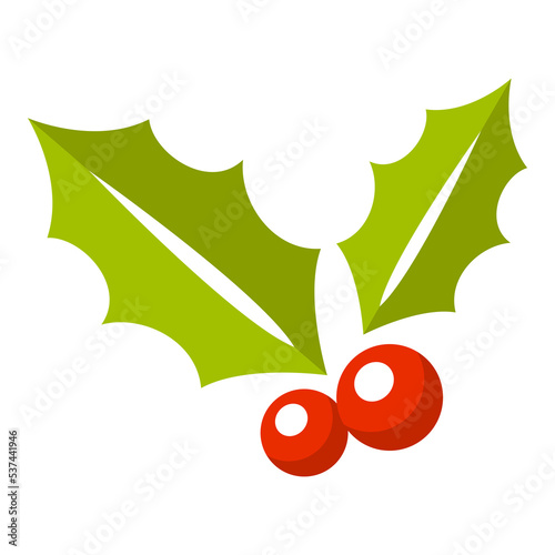 Holly Berry isolated on white background