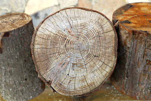 The way to estimate tree age is to count the rings of annual tree growth.