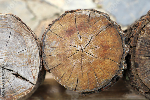 The way to estimate tree age is to count the rings of annual tree growth.