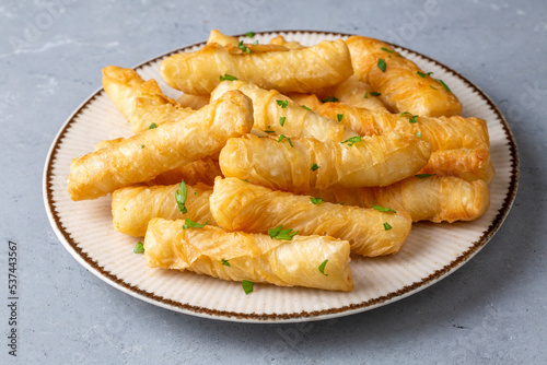 Fried pastry wrapped in cheese in phyllo. Pie in the form of a roll. Turkish name; Kalem borek - sigara boregi