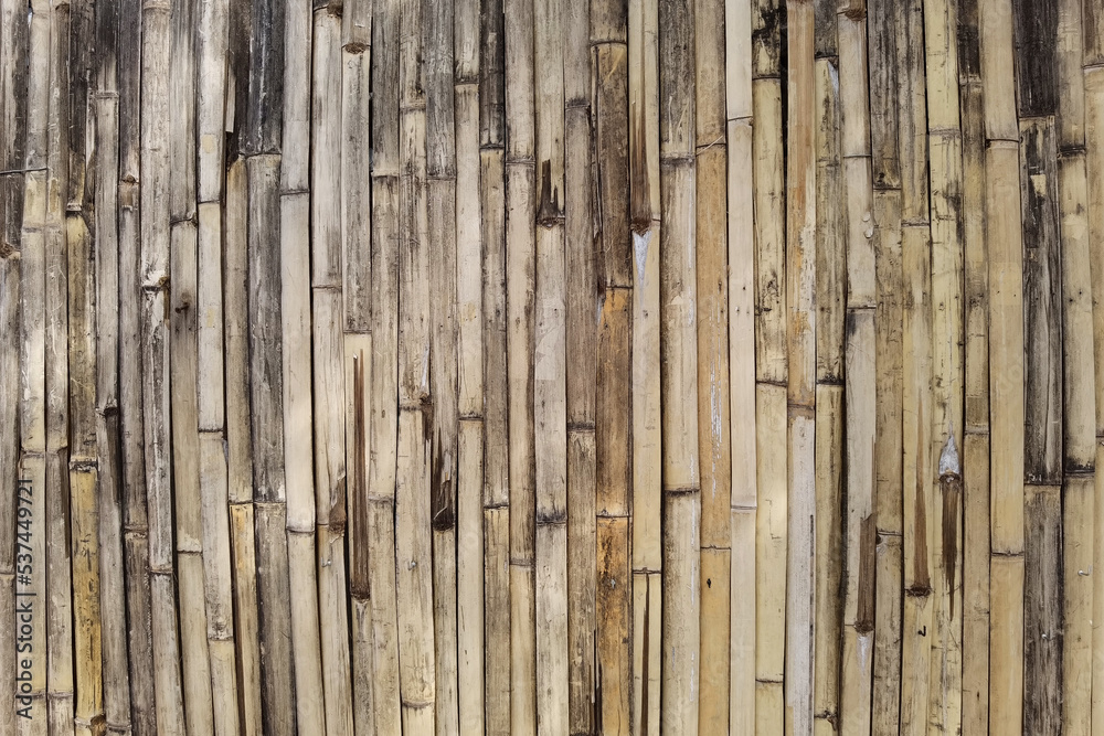 close up of bamboo texture for background close up of bamboo texture for background