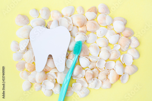 Tooth model, toothbrush and seashells. Yellow background. Flat lay. Top view. Benefits of minerals for dental hygiene. Oral care. Copy space. Place for text. Strength of teeth and gums.