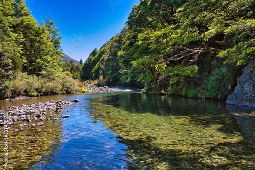 Fototapeta Waipakihi River, Kaimanawa Forest Park, New Zealand