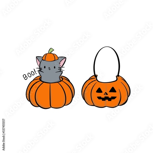 halloween pumpkin and cute grey kitten with hat