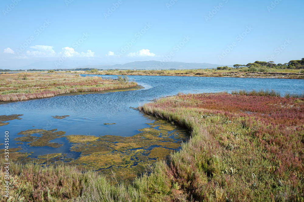 sweet water lagoon and meadows  at Strofylia national park in Greece  