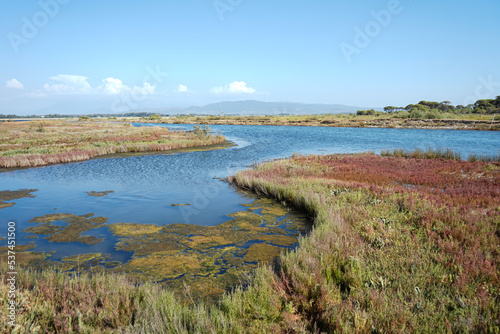 sweet water lagoon and meadows at Strofylia national park in Greece 
