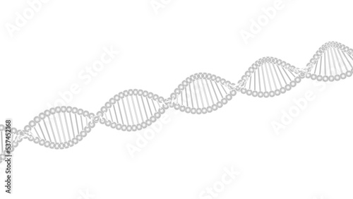 Science Molecular White DNA Model Structure under white flash lighting background. 3D illustration. 3D CG. 3D high quality rendering. PNG file format.