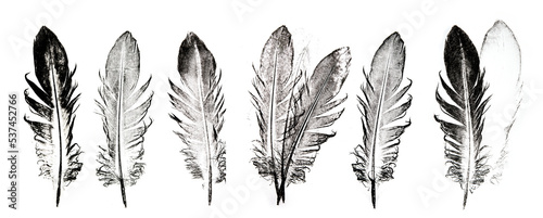 a feather printed on paper - graphic imprint.Ethnic indian black and white feathers.