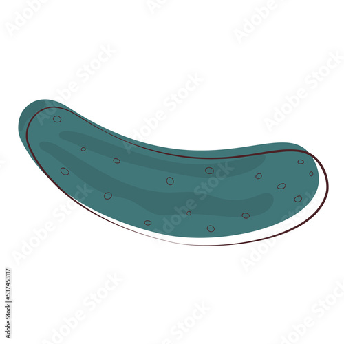 illustration of cucumber
