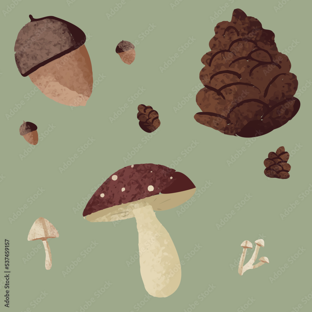 Set of red  and brown mushrooms, pines and acorns