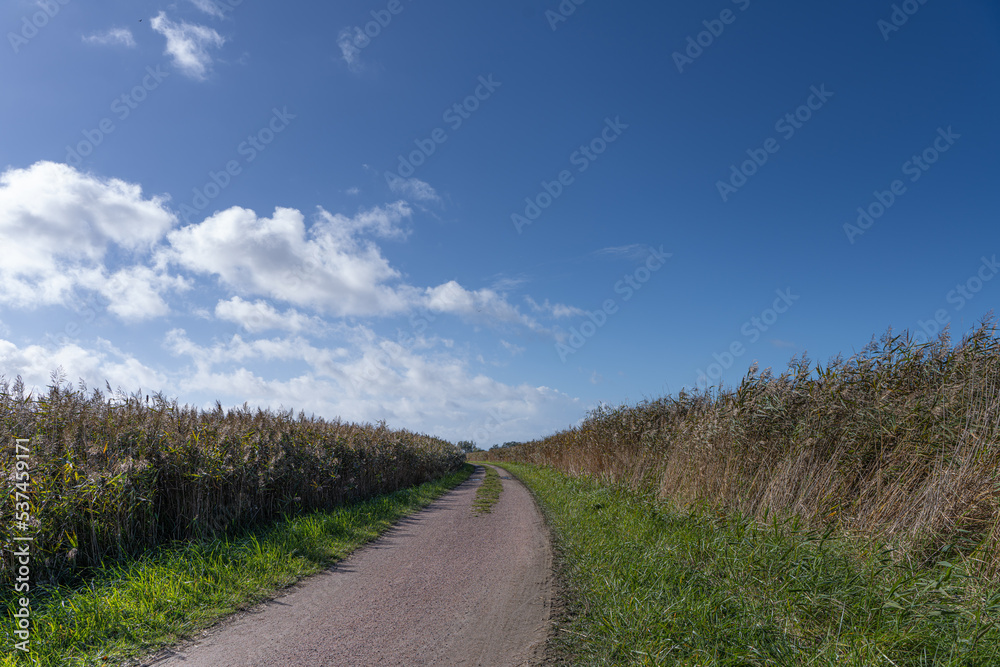 Weg durch ein Feld im Herbst