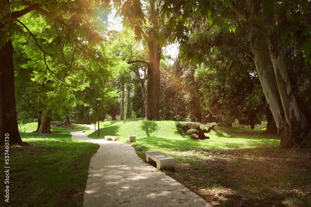 Picturesque view of tranquil park with paved pathway and benches Picturesque view of tranquil park with paved pathway and benches