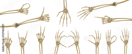 Skeleton Hands Icon Set