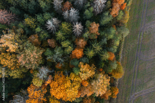 Aerial view of the colorful autumn forest