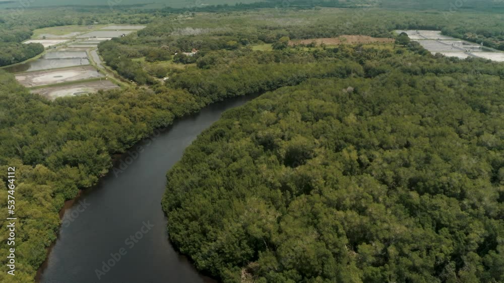 River Surrounded With Lush Tropical Rainforest In El Paredon, Guatemala - aerial drone shot River Surrounded With Lush Tropical Rainforest In El Paredon, Guatemala - aerial drone shot