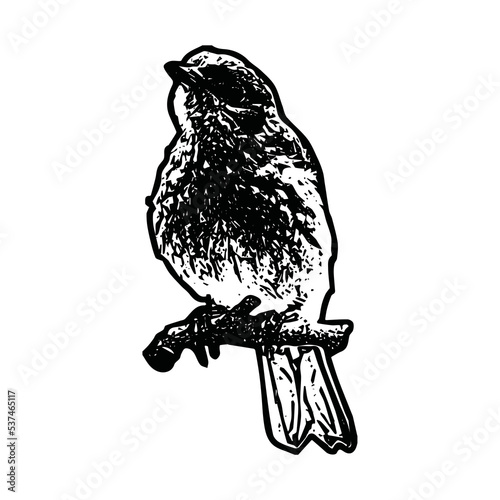vector illustration of Hand draws bird line art. Adult book coloring pages line art.